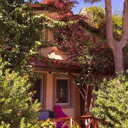 Moonshine Suites Villa